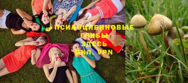 спиды Пролетарск