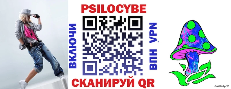 Псилоцибиновые грибы Cubensis  Щучье 