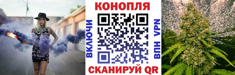 kraken как зайти  как найти закладки  Щучье  Канабис AK-47 